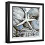 Seashells in Blue I-null-Framed Art Print