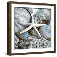 Seashells in Blue I-null-Framed Art Print