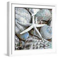 Seashells in Blue I-null-Framed Art Print