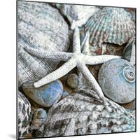 Seashells in Blue I-null-Mounted Art Print