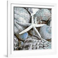 Seashells in Blue I-null-Framed Art Print