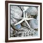 Seashells in Blue I-null-Framed Art Print