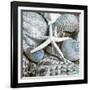 Seashells in Blue I-null-Framed Art Print