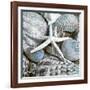 Seashells in Blue I-null-Framed Art Print