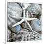 Seashells in Blue I-null-Framed Art Print