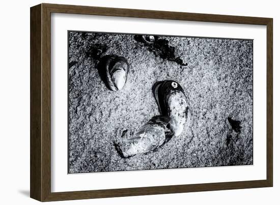 Seashells in the Sand on a Beach-Henriette Lund Mackey-Framed Photographic Print