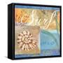 Seashells IV-Fiona Stokes-Gilbert-Framed Stretched Canvas
