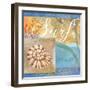 Seashells IV-Fiona Stokes-Gilbert-Framed Giclee Print
