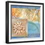 Seashells IV-Fiona Stokes-Gilbert-Framed Giclee Print