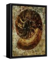 Seashells IX-Jodi Maas-Framed Stretched Canvas