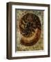 Seashells IX-Jodi Maas-Framed Premium Giclee Print