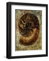 Seashells IX-Jodi Maas-Framed Premium Giclee Print