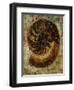 Seashells IX-Jodi Maas-Framed Premium Giclee Print