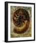 Seashells IX-Jodi Maas-Framed Giclee Print