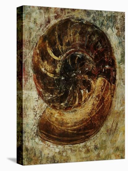 Seashells IX-Jodi Maas-Stretched Canvas