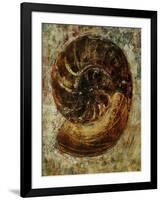 Seashells IX-Jodi Maas-Framed Giclee Print