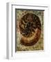 Seashells IX-Jodi Maas-Framed Premium Giclee Print