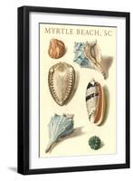 Seashells, Myrtle Beach-null-Framed Art Print