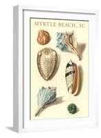 Seashells, Myrtle Beach-null-Framed Art Print