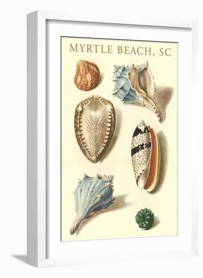 Seashells, Myrtle Beach-null-Framed Art Print