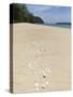 Seashells on Bamboo Island, Sihanoukville, Cambodia, Indochina, Southeast Asia, Asia-Charlie Harding-Stretched Canvas