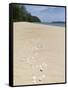 Seashells on Bamboo Island, Sihanoukville, Cambodia, Indochina, Southeast Asia, Asia-Charlie Harding-Framed Stretched Canvas