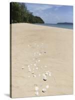 Seashells on Bamboo Island, Sihanoukville, Cambodia, Indochina, Southeast Asia, Asia-Charlie Harding-Stretched Canvas