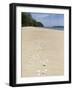 Seashells on Bamboo Island, Sihanoukville, Cambodia, Indochina, Southeast Asia, Asia-Charlie Harding-Framed Photographic Print