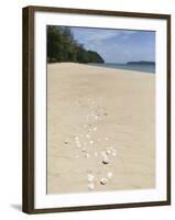 Seashells on Bamboo Island, Sihanoukville, Cambodia, Indochina, Southeast Asia, Asia-Charlie Harding-Framed Photographic Print