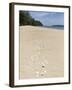 Seashells on Bamboo Island, Sihanoukville, Cambodia, Indochina, Southeast Asia, Asia-Charlie Harding-Framed Photographic Print