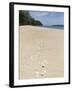 Seashells on Bamboo Island, Sihanoukville, Cambodia, Indochina, Southeast Asia, Asia-Charlie Harding-Framed Photographic Print