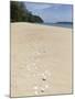 Seashells on Bamboo Island, Sihanoukville, Cambodia, Indochina, Southeast Asia, Asia-Charlie Harding-Mounted Photographic Print