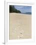 Seashells on Bamboo Island, Sihanoukville, Cambodia, Indochina, Southeast Asia, Asia-Charlie Harding-Framed Photographic Print