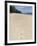 Seashells on Bamboo Island, Sihanoukville, Cambodia, Indochina, Southeast Asia, Asia-Charlie Harding-Framed Photographic Print