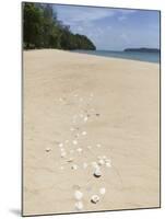 Seashells on Bamboo Island, Sihanoukville, Cambodia, Indochina, Southeast Asia, Asia-Charlie Harding-Mounted Photographic Print