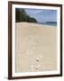 Seashells on Bamboo Island, Sihanoukville, Cambodia, Indochina, Southeast Asia, Asia-Charlie Harding-Framed Photographic Print