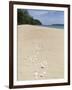 Seashells on Bamboo Island, Sihanoukville, Cambodia, Indochina, Southeast Asia, Asia-Charlie Harding-Framed Photographic Print