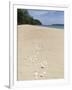Seashells on Bamboo Island, Sihanoukville, Cambodia, Indochina, Southeast Asia, Asia-Charlie Harding-Framed Photographic Print