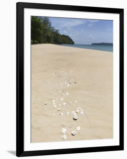 Seashells on Bamboo Island, Sihanoukville, Cambodia, Indochina, Southeast Asia, Asia-Charlie Harding-Framed Photographic Print