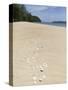 Seashells on Bamboo Island, Sihanoukville, Cambodia, Indochina, Southeast Asia, Asia-Charlie Harding-Stretched Canvas