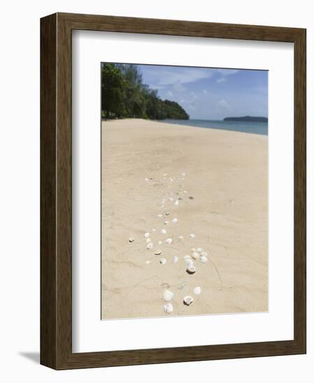 Seashells on Bamboo Island, Sihanoukville, Cambodia, Indochina, Southeast Asia, Asia-Charlie Harding-Framed Photographic Print