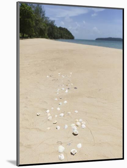 Seashells on Bamboo Island, Sihanoukville, Cambodia, Indochina, Southeast Asia, Asia-Charlie Harding-Mounted Photographic Print