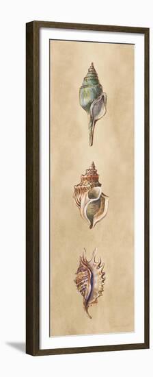 Seashells Panel I-Lanie Loreth-Framed Premium Giclee Print