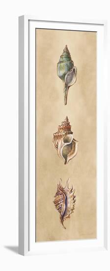 Seashells Panel I-Lanie Loreth-Framed Premium Giclee Print