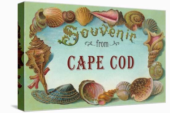 Seashells, Souvenir from Cape Cod, Massachusetts-null-Stretched Canvas