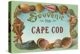 Seashells, Souvenir from Cape Cod, Massachusetts-null-Stretched Canvas