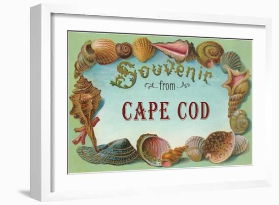 Seashells, Souvenir from Cape Cod, Massachusetts-null-Framed Art Print