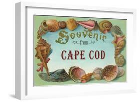 Seashells, Souvenir from Cape Cod, Massachusetts-null-Framed Art Print