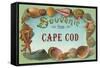 Seashells, Souvenir from Cape Cod, Massachusetts-null-Framed Stretched Canvas