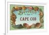 Seashells, Souvenir from Cape Cod, Massachusetts-null-Framed Premium Giclee Print